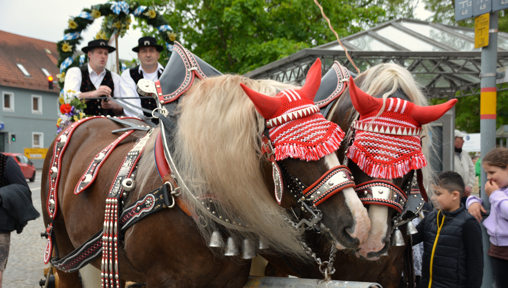 Mitte Mai herrscht Volksfeststimmung im Stadtpark Teublitz