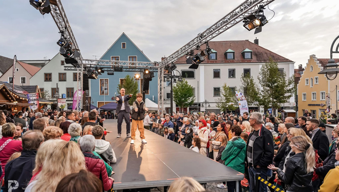 „Schwandorf bei Mondschein“